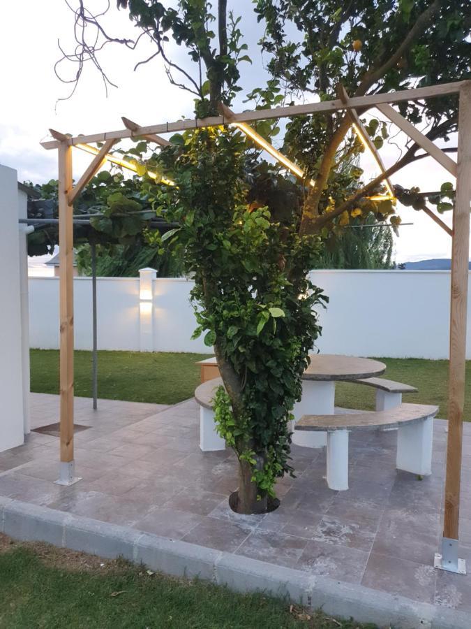Casa Flor Delfin Ribadeo Villa Buitenkant foto